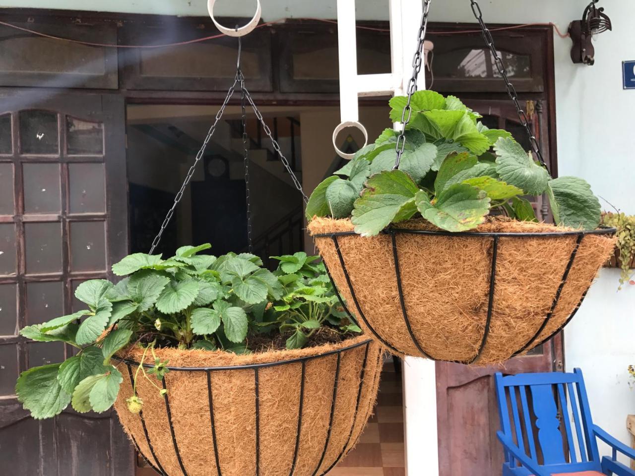Dalat Coffee House Homestay Zewnętrze zdjęcie
